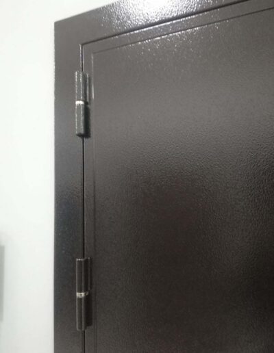 Дверь металлическая входная ДИПЛОМАТ Тандор